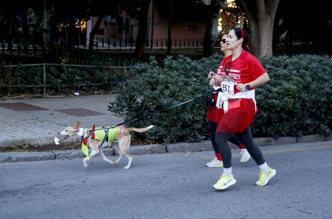 Malaga's charity San Silvestre fun run - in pictures