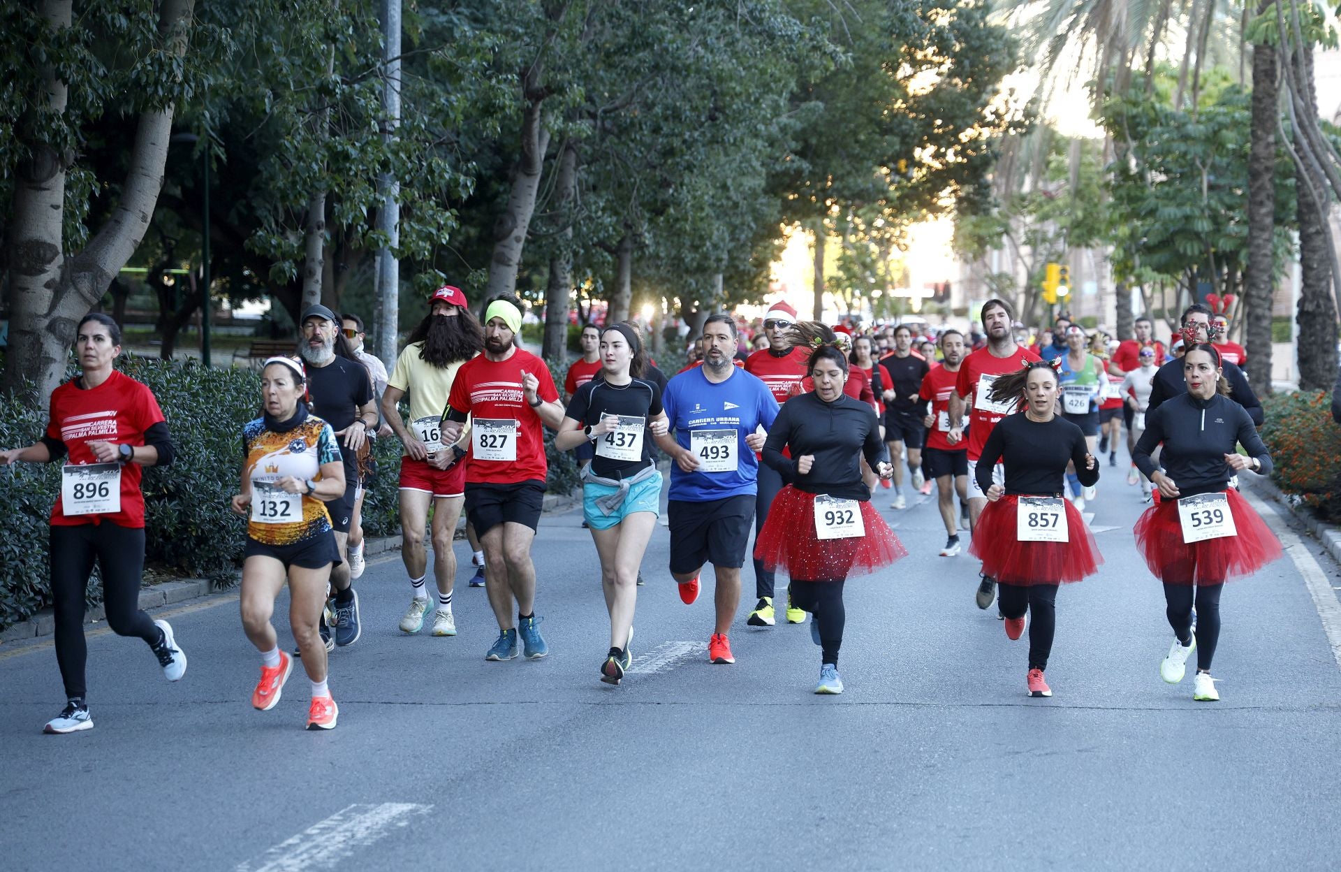 Malaga's charity San Silvestre fun run - in pictures
