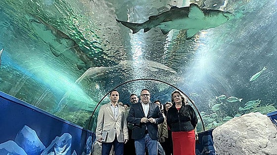 Costa Tropical's Mediterranean sea life aquarium reopens four years after closure