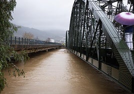 The photo shows the Guadalhorce river as it passes over the iron bridge in the town of Cártama.