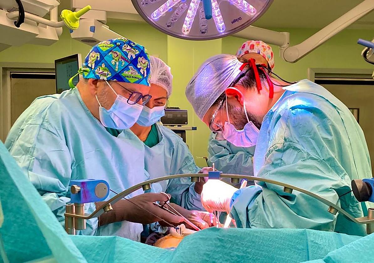 Malaga Regional Hospital breaks a record by performing 16 transplants in just six days