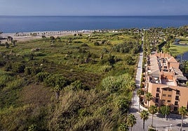 The future of Playa Granada will be decided on Wednesday 14 January.