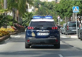 Fugitive from Turkish justice arrested in Estepona in connection with a murder involving firearms