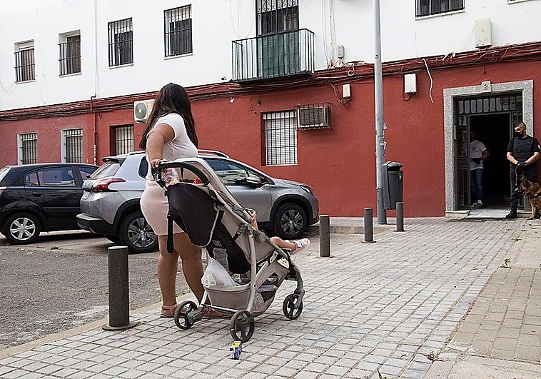 Andalusian regional government processes 2,800 cases of squatting