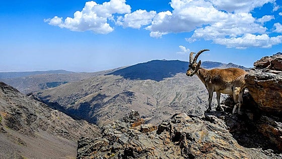 Andalusian regional government starts modernisation of Sierra Nevada plan