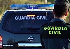 Police arrest one suspect and seize 442 marijuana plants from rented house in Malaga province