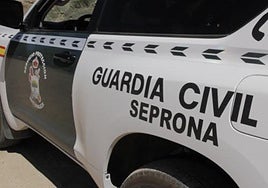 Guardia Civil investigates man in Torrox for illegal capture of protected bird species