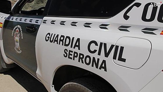 Guardia Civil investigates man in Torrox for illegal capture of protected bird species