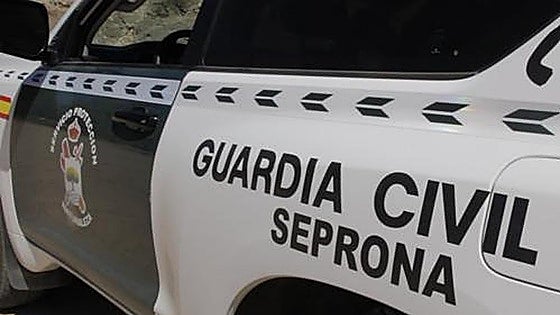 One arrested on Costa del Sol for illegal capture of protected bird species