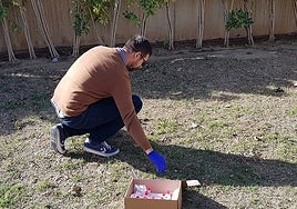 A sample being collected in Rincón de la Victoria