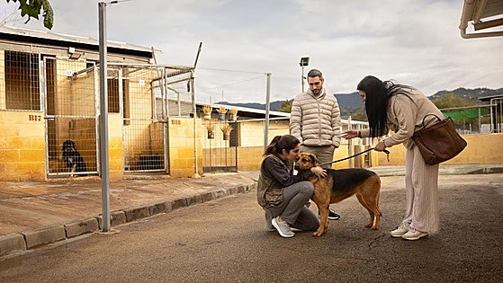 Malaga's oldest animal shelter celebrates 150 years of defending abandoned and mistreated animals