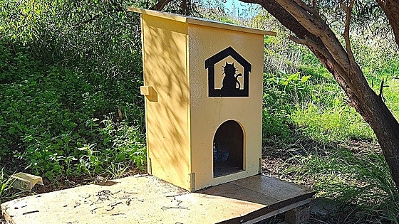 Alhaurín de la Torre council cares for 2,000 stray cats