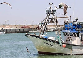 Andalusian fisheries sector welcomes agreement reached on EU controls