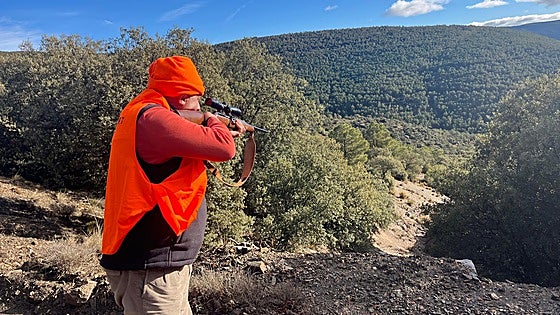 What happened during the recent wild boar hunt in Alhaurín de la Torre?