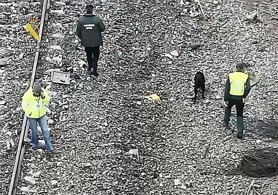 Search for bodies inside Adamuz trains is over: police and four dogs now comb tracks and forest