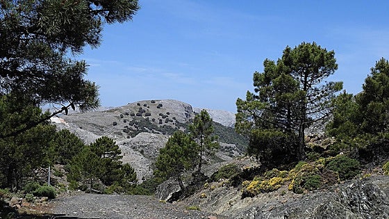 The mountains of Malaga province