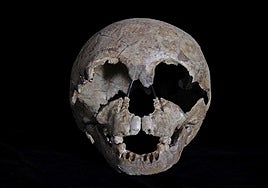 Gibraltar National Museum to celebrate century since discovery of Neanderthal child's skull