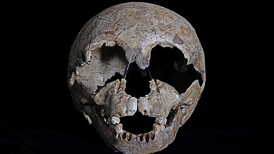 Gibraltar National Museum to celebrate century since discovery of Neanderthal child's skull