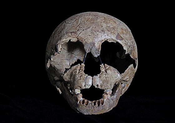 Gibraltar National Museum to celebrate century since discovery of Neanderthal child's skull