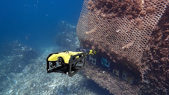 Marbella marina launches ‘micro-reef’ project to help revive seabed
