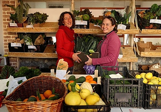 Nerja organic farmers face eviction and loss of EU project as 400 contracts terminated
