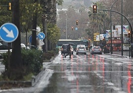 Rain persists today on Malaga city's streets.