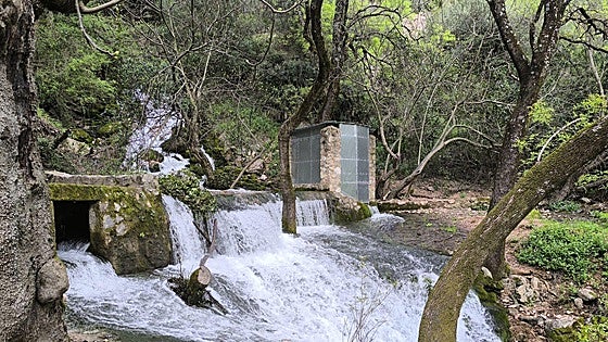 Spectacular springs and waterfalls worth visiting in Malaga after the recent rains