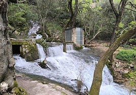 Spectacular springs and waterfalls worth visiting in Malaga after the recent rains