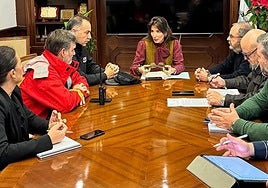 Mijas emergency committee meeting