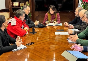 Mijas emergency committee meeting