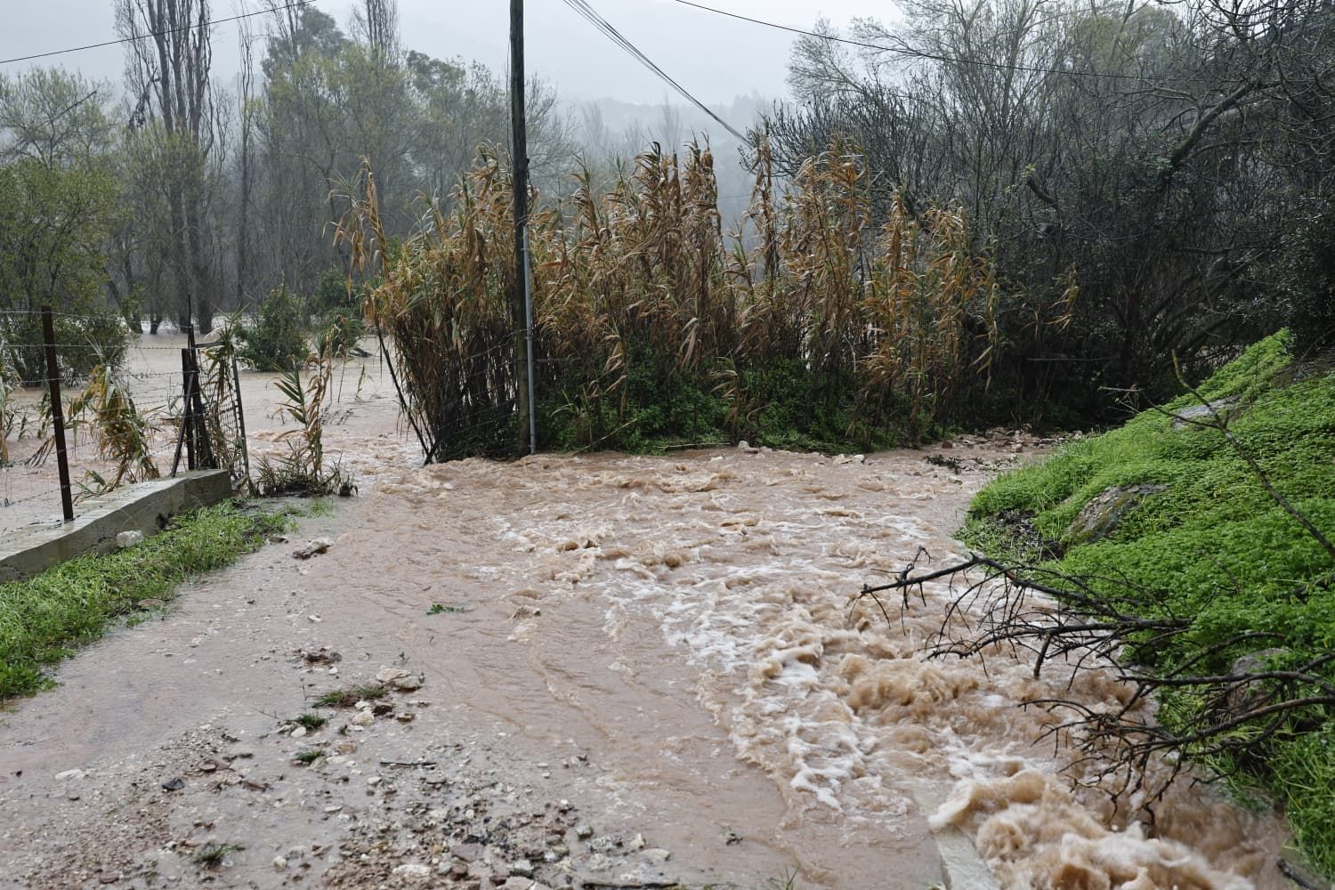 Images taken in Benaoján and Jimera de Líbar on Wednesday morning.