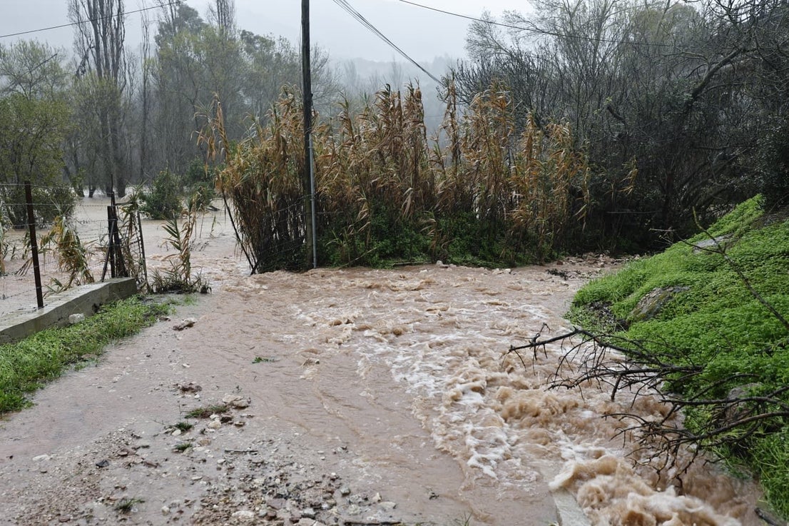 Images taken in Benaoján and Jimera de Líbar on Wednesday morning.