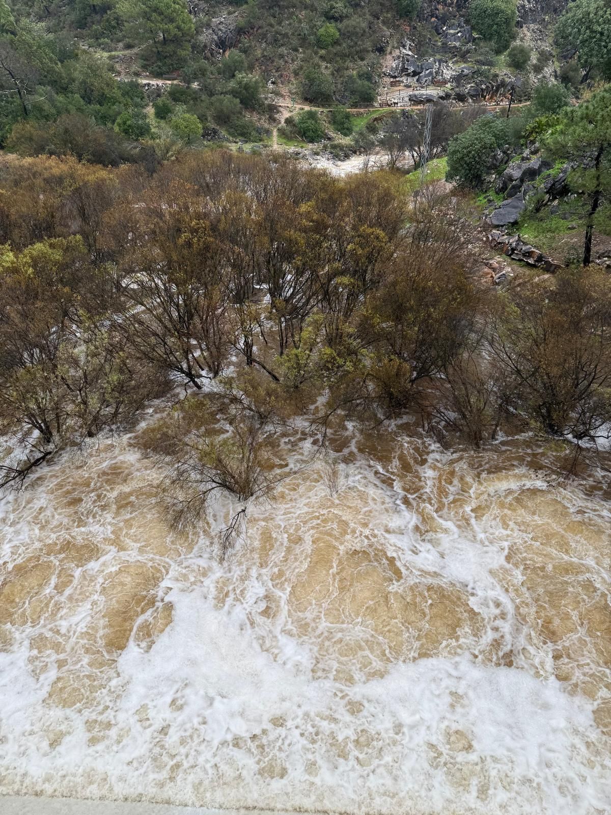 River Guadalmina in Benahavís.