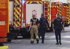 Firefighters of Madrid's regional brigade.
