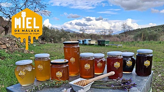 Malaga honey awarded EU protection: where to buy the province’s best varieties