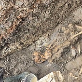 Bone remains of several bodies found in Estepona.