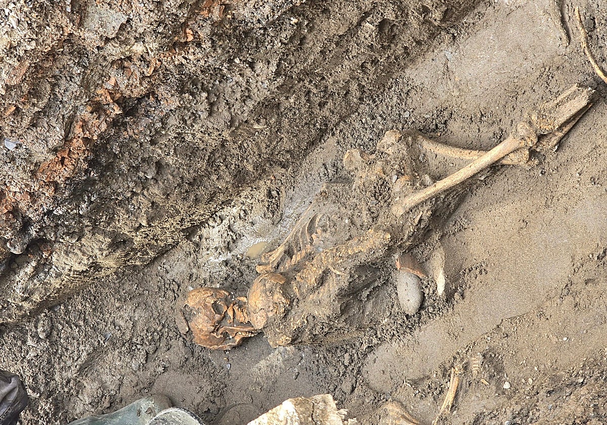 Human remains from the Arab period unearthed during work on a car park in Estepona