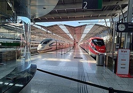High-speed trains at the virtually-empty Malaga station.