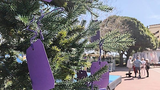 Valentine’s Day event in Mijas: memory tree and market to support dementia patients