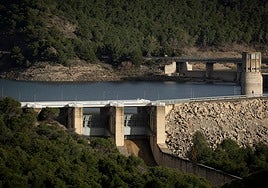 Recent photo of the Guadalteba reservoir in Malaga province.