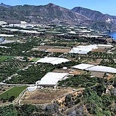 The Vega de Maro land