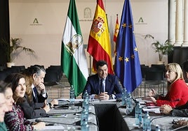 A moment from Tuesday's recovery plan meeting held at Seville's San Telmo Palace.