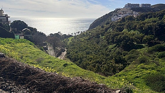 Body of missing 79-year-old British man found in Nerja