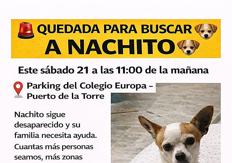 Malaga city neighbourhood mobilises search for Nachito, a 16-year-old dog missing since Monday