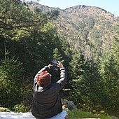 A visitor taking a photo of the fir forest in the Sierra Bermeja, Malaga.