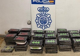110 kilos of cocaine in sports bags: blow to network as two leaders arrested in Fuengirola