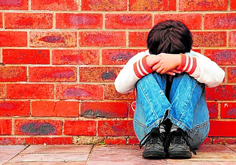 School bullying: Andalucía's regional government proposes both local action and changes to the law