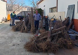 Malaga village to subsidise growers to plant more cherry trees