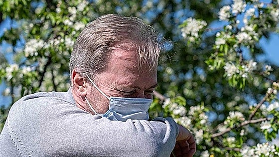 Rainfall brings an earlier, longer and more aggressive allergy season to the Costa del Sol
