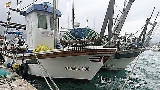 Malaga's most famous fish is packed with protein, omega-3 fatty acids and creatine
